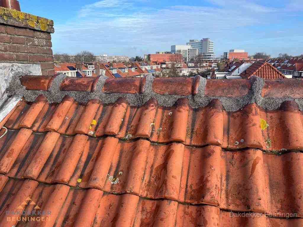 Beuningen Daken Renoveren Beuningen Daken Renoveren